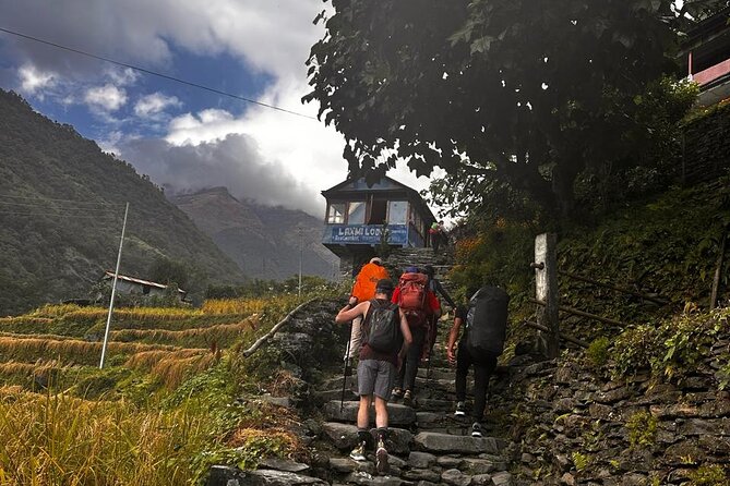 Ghorepani Poonhill Private Trek - 2 nights / 3 days - Returning from Ulleri by local bus