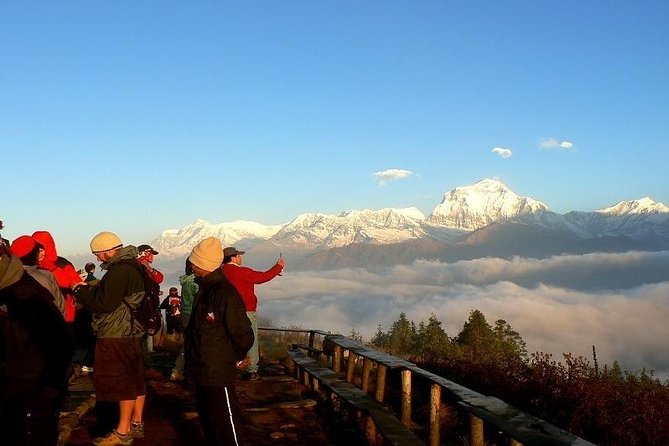 Ghorepani Poonhill Trek 5 Days from Pokhara - Key points before you book