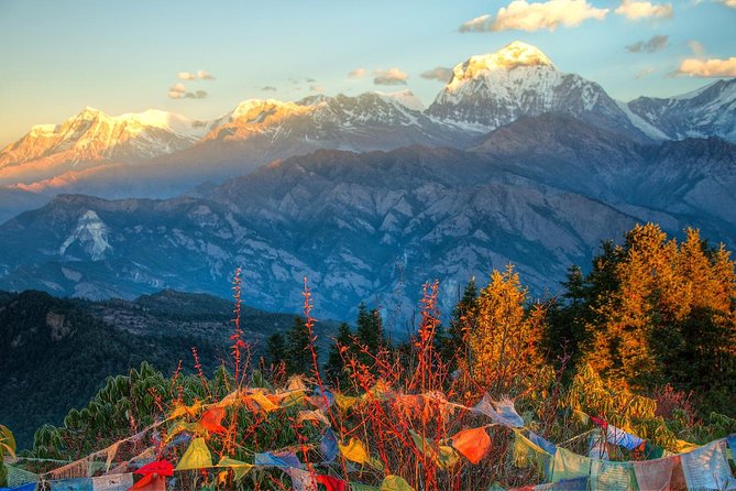 Ghorepani Poonhill Trek 5 Days from Pokhara - Small groups and guide support