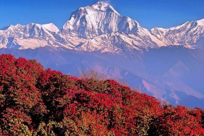 Ghorepani Poonhill Trek -8 Days - Why Ghorepani and Poon Hill work so well