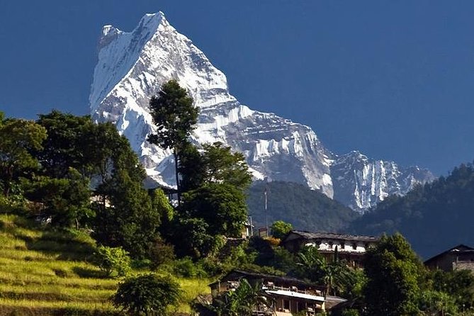 Ghorepani Poonhill Trek -8 Days - Day 3: Nayapul to Ulleri