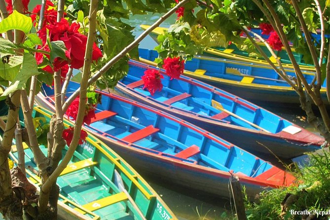 Half-Day Private Pokhara Tour - Who Should Book This Private Pokhara Tour?