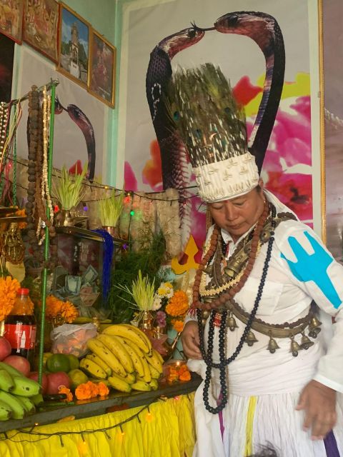 Healing Day tour - Shaman Healing - Is $80 per person good value?