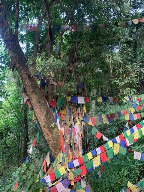 Healing Day tour - Shaman Healing - Who will enjoy this experience most?