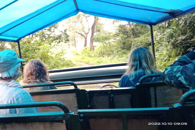 Jeep safari (4-5 hrs. Sharing) inside Chitwan National Park. - Leaving Sauraha at 12:30 pm
