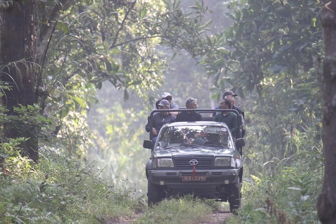 Jungle Towernight Stay: 4-Day Tour in Chitwan National Park - Day 3: Jeep safari, Sauraha, and Tharu culture