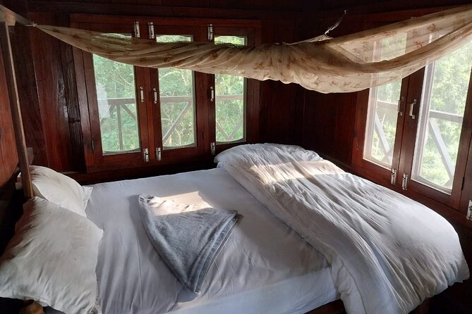Jungle Towernight Stay: 4-Day Tour in Chitwan National Park - The long road transfer and the practical details