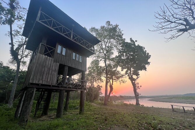 Jungle Towernight Stay: 4-Day Tour in Chitwan National Park - Day 2: Sunrise, walking, and a full day outdoors
