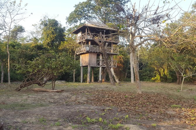 Jungle Towernight Stay In Chitwan National Park ,nepal-2 Nights 3 Days Package - Day one: arrive in Sauraha and enter the park