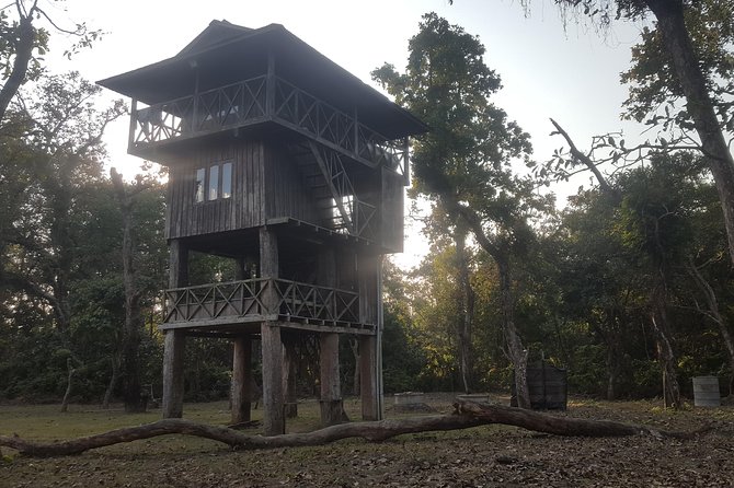 Jungle Towernight Stay In Chitwan National Park ,nepal-2 Nights 3 Days Package - What the tower room is really like