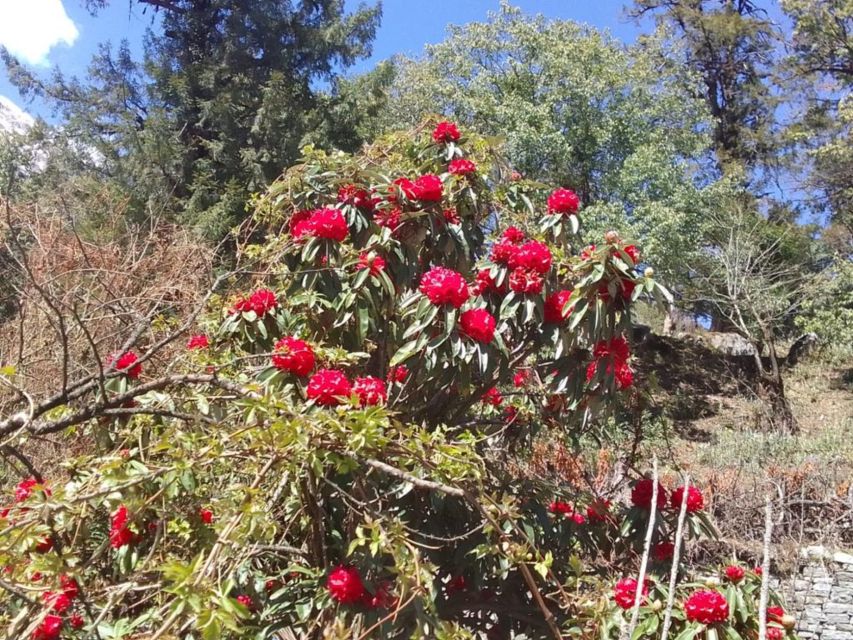 Kathmandu: 10-Day Adventurous Annapurna Circuit Trek - Day 4: Upper Pisang to Manang below three major peaks