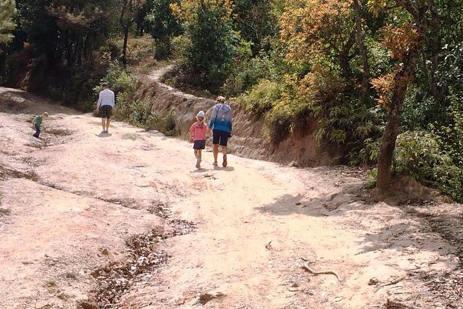 Kathmandu: 2 Nights 3 Days Chisapani Nagarkot Trek - The guide and the real value of private pacing