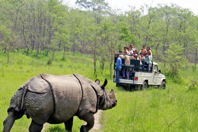 Kathmandu 2 Nights 3 Days Chitwan Jungle Safari Tour - Key points at a glance