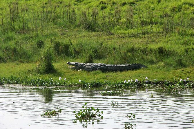 Kathmandu 2 Nights 3 Days Chitwan Jungle Safari Tour - From Kathmandu to Chitwan in one long day