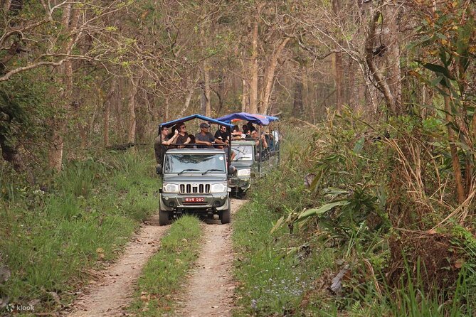 Kathmandu 2 Nights 3 Days Chitwan Jungle Safari Tour - What the strongest praise gets right