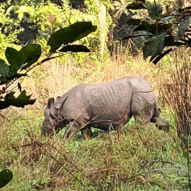 Kathmandu: 3-Day Chitwan Safari Tour with Hotel Transfers - Entering Chitwan National Park on the first afternoon