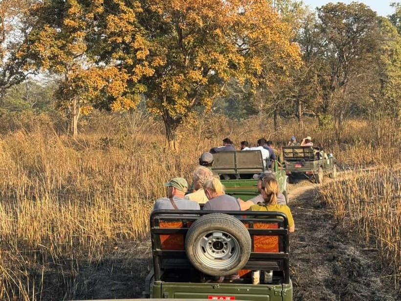 Kathmandu: 3-Day Chitwan Safari Tour with Hotel Transfers - Transport, rooms, meals, and service