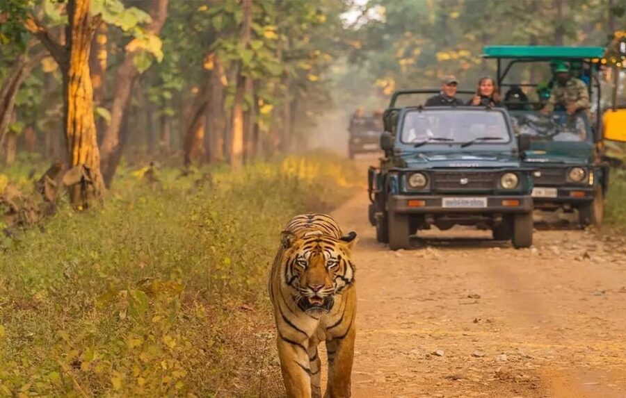 Kathmandu: 4-Day Private Chitwan National Park Safari Tour - Key things to know before booking