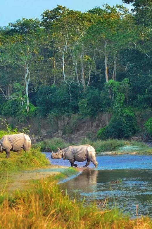 Kathmandu: 4-Day Private Chitwan National Park Safari Tour - Day three: choose walking or 20,000 Lake by bicycle