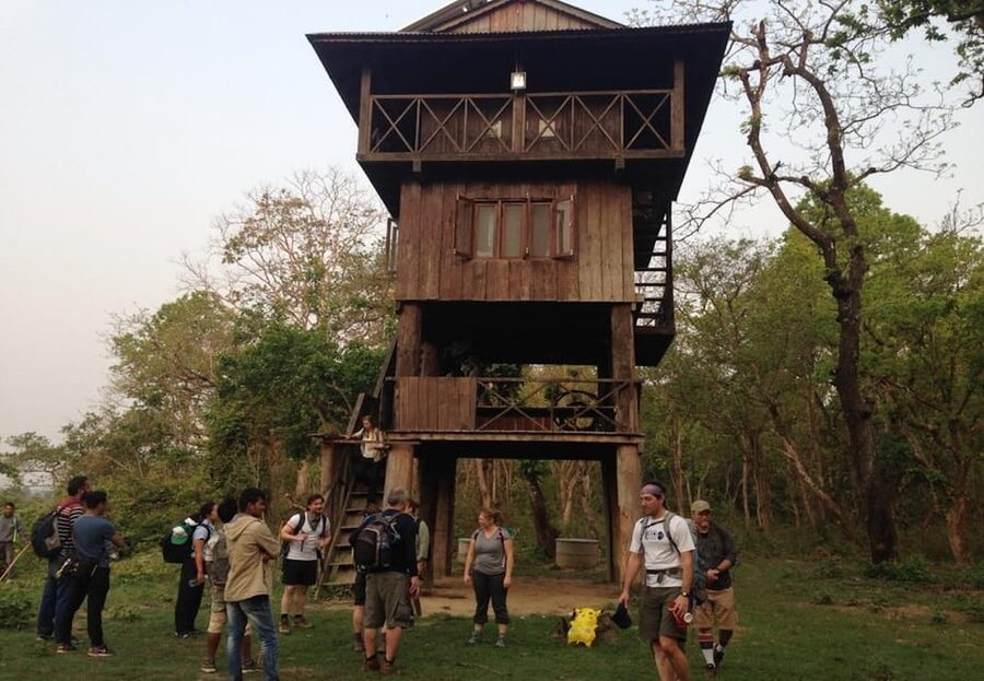 Kathmandu: 4-Day Private Chitwan National Park Safari Tour - Day four closes with one last nature walk