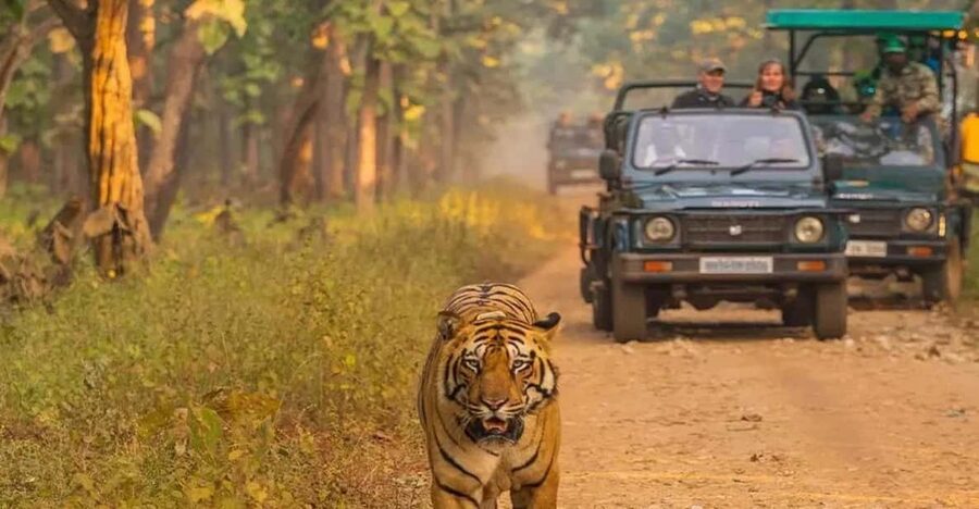 Kathmandu: 4-Day Private Chitwan National Park Safari Tour - From Kathmandu to Chitwan by tourist bus