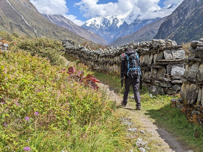 Kathmandu: 6-Day Limitless Langtang Trek - Day Two: Forest Trails from Pahiro to Ghoda Tabela