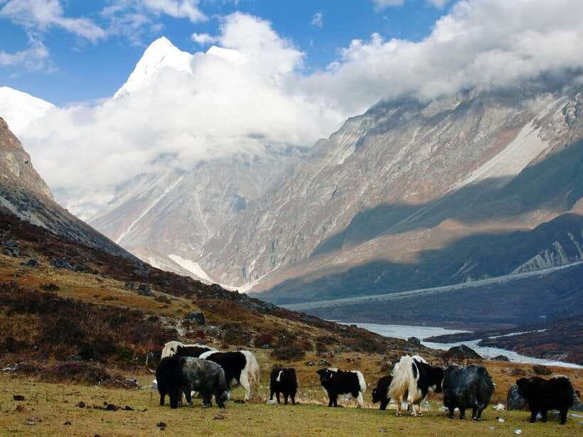 Kathmandu: 6 Days Langtang Valley Trek with Kyanjin Ri - Day 3: Ghoda Tabela to Kyanjin Gompa at 3,870 meters