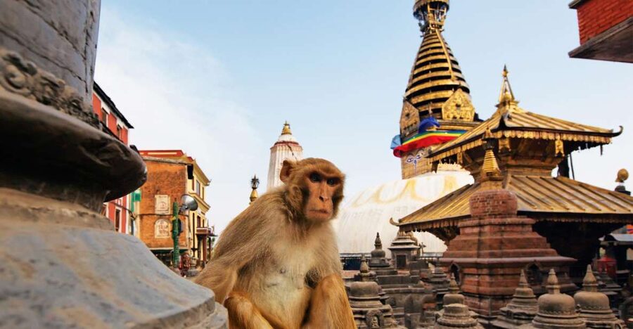 Kathmandu: Chandragiri cable car & Swayambhunath Tour - Lunch between the two major sights