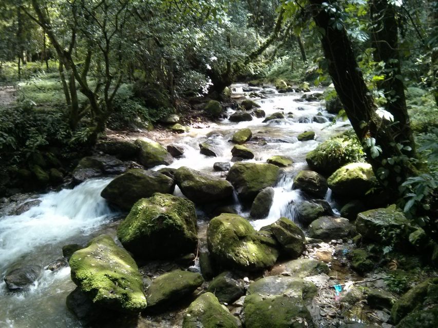 Kathmandu: Chisapani Nagarkot 3-Days 2-Nights Trek - What this three-day route really offers