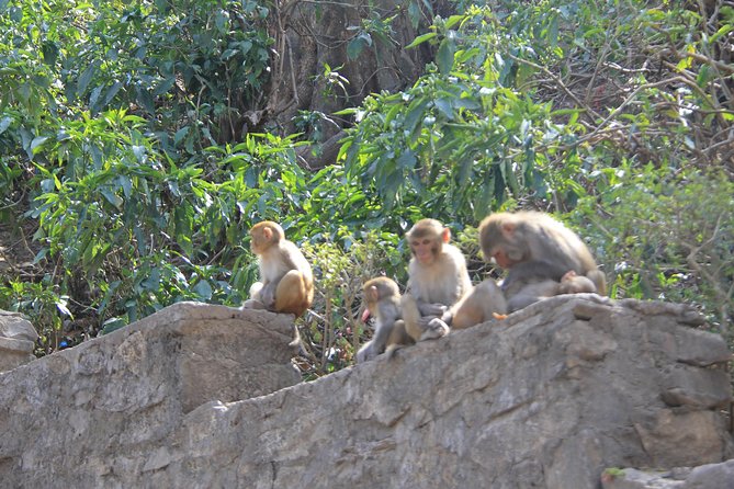 Kathmandu Day Tour - What the guide adds to the day