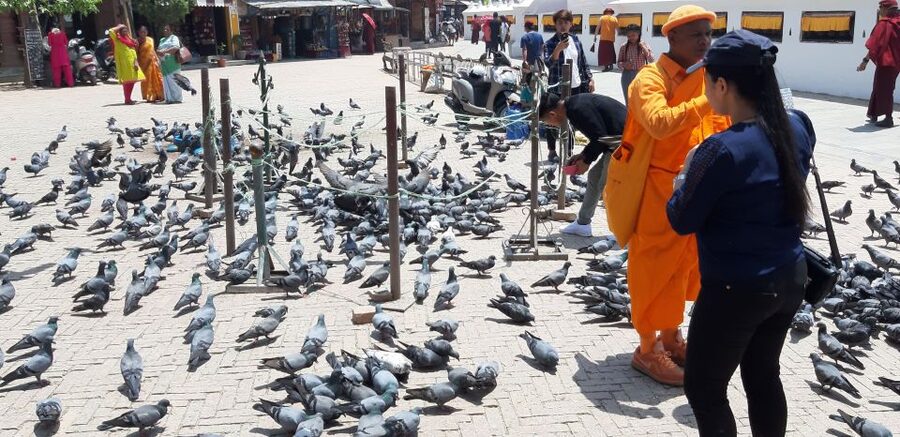 Kathmandu: Guided -Day Tour of World Heritage Sites - What to bring and how to prepare