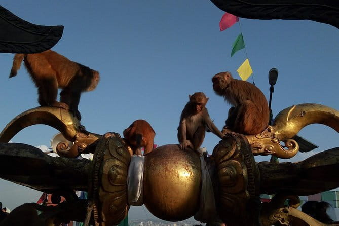 Kathmandu Heritage Tour (Full Day) - What Sujan adds to the day