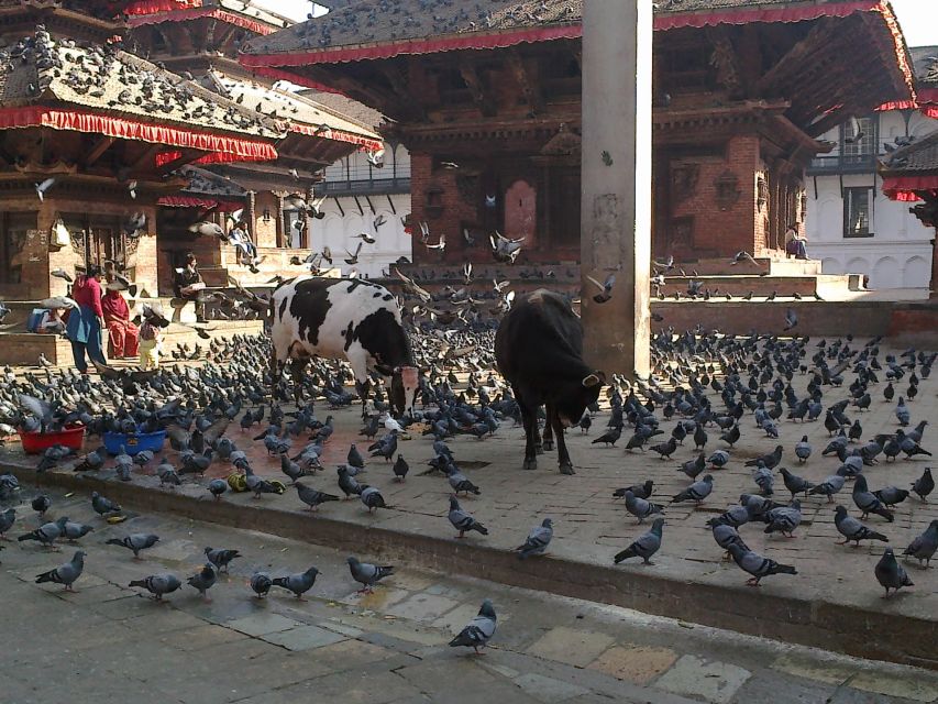 Kathmandu: Monkey Temple and Chandragiri Cable Car Ride Tour - The views from Swoyambhunath
