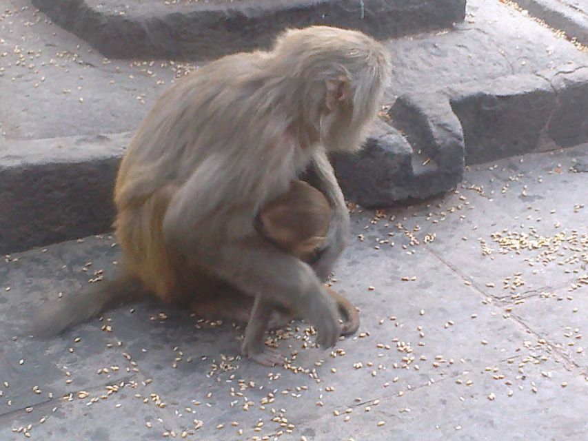 Kathmandu: Monkey Temple and Chandragiri Cable Car Ride Tour - Guide quality and the value of a private group