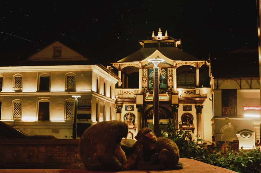 Kathmandu: Pashupatinath Aarati & Cremation Evening Tour - Meeting Your Guide and Returning Safely