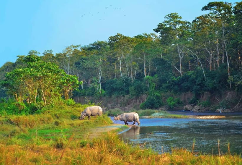 Kathmandu/Pokhara: 3 Day Chitwan Jungle Safari Tour - Day one: arrival, Tharu traditions, and a sunset over the park
