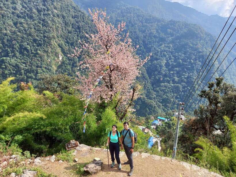 Kathmandu/Pokhara: 5-Day Annapurna Base Camp (ABC) Trek - Sunrise at ABC is worth the early alarm
