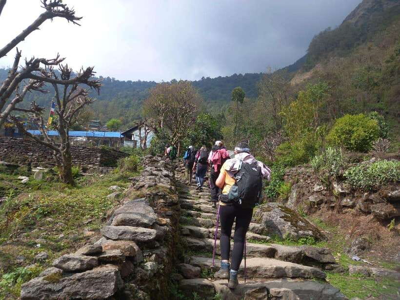 Kathmandu/Pokhara: 5-Day Annapurna Base Camp (ABC) Trek - Day 4: The long return to Bamboo or Sinuwa
