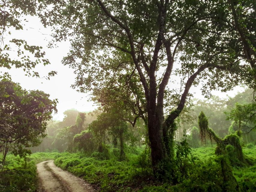 Kathmandu/Pokhara: Wildlife, Culture and Jungle Safari Tour - What Makes This Trip Worth Considering
