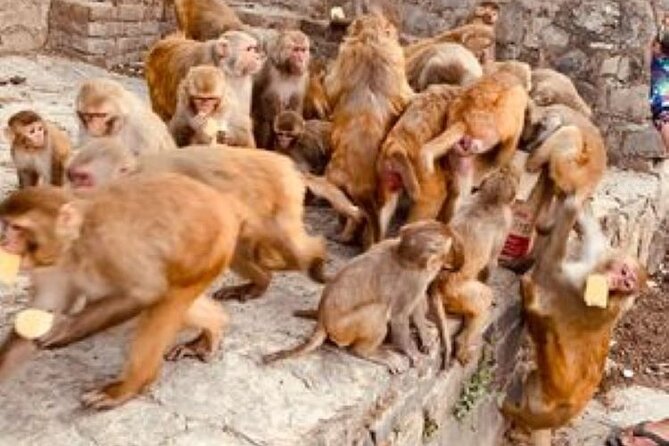 Kathmandu Private Sightseeing Tour | UNESCO World Heritage Sites - Changunarayan: A Hilltop Finish