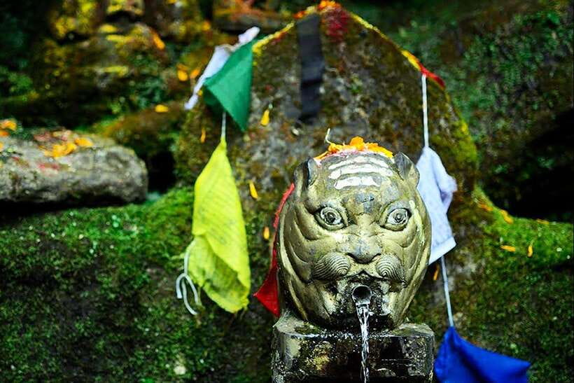 Kathmandu: Shivapuri Day Hike with Lunch - From Thamel to Shivapuri’s Forest Gate