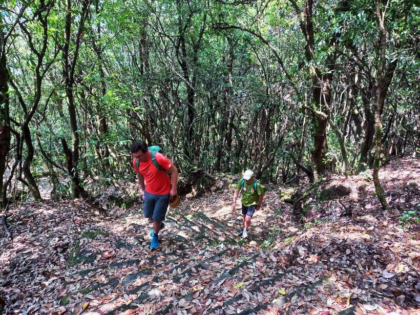 Kathmandu: Shivapuri Day Hike with Lunch - Lunch: Handy, Light, and Worth Supplementing