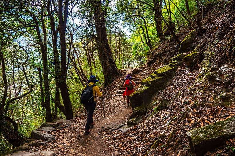 Kathmandu: Shivapuri Day Hike with Lunch - Who Should Book the Shivapuri Hike?