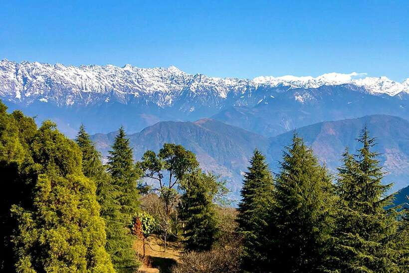 Kathmandu: Shivapuri Day Hike with Lunch - Bamboo Forests, Steps, and the Real Work of the Climb
