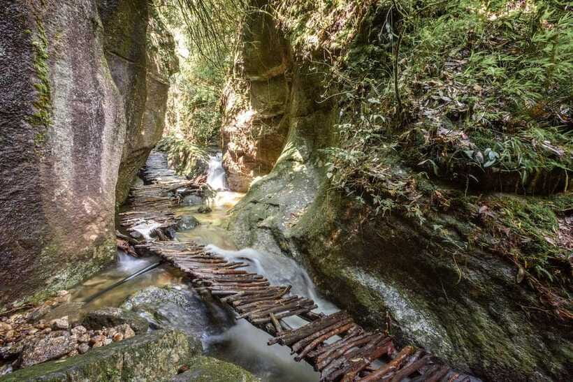 Kathmandu: Shivapuri Hill Day Hike with Lunch box - Six hours on Shivapuri’s forest trail