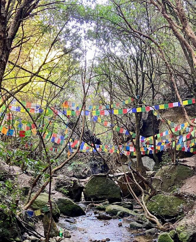 Kathmandu: Shivapuri Hill Day Hike with Lunch box - Pickup from Thamel and the road to the park