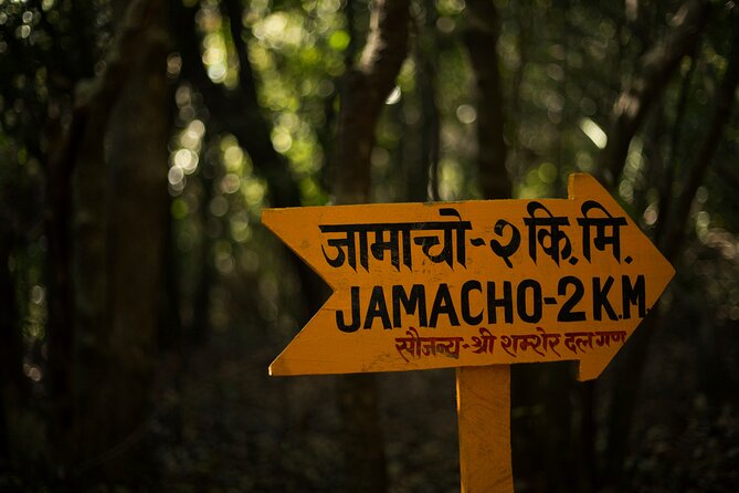 Kathmandu Shivapuri National Park and Nagarkot Hiking - 3 Days - Chisopani brings the first big mountain views