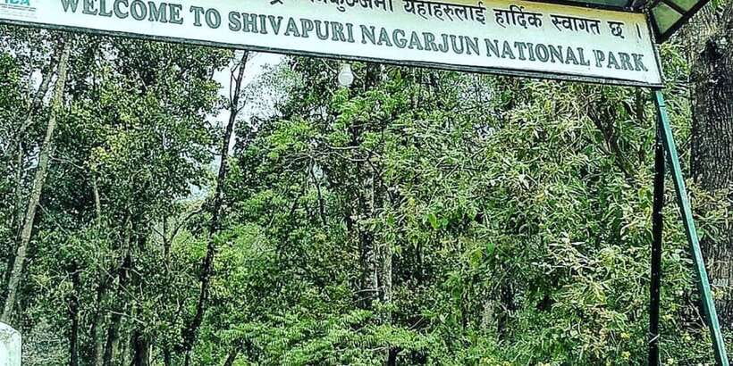 Kathmandu: Shivapuri National park Day Hiking - The View From the Upper Trail