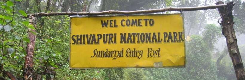 Kathmandu: Shivapuri National park Day Hiking - What the $49 Price Really Covers