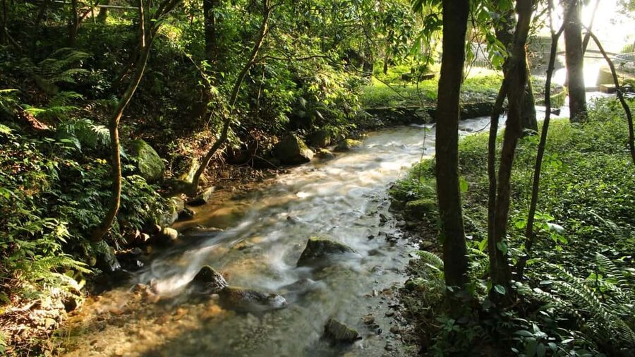 Kathmandu: Shivapuri National Park Hiking Day Trip - Is $61 a fair price?